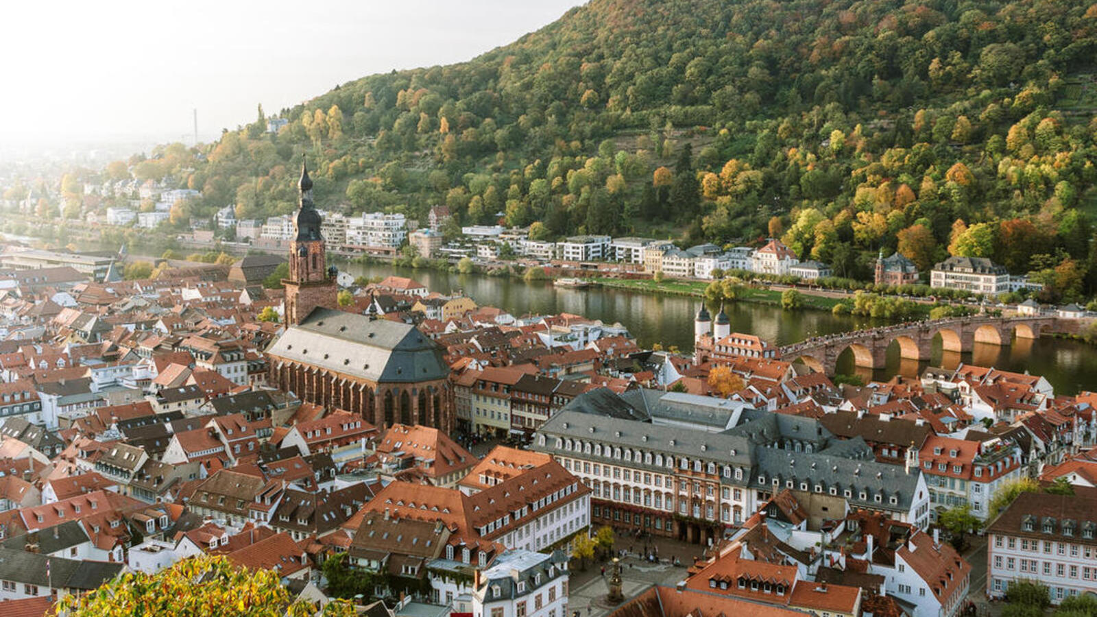 Heidelberg von oben